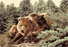 Однотонный ковер Фауна 50633 Медведь